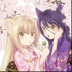 Konohana Kitan (TV)